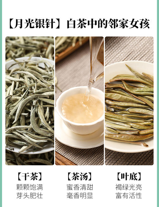凤宁号 | 2024年 白茶集合装5g*10泡（50g） 商品图1
