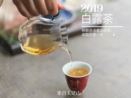 【4.5斤收藏装】5年陈的2019白露茶，又清、又稠、又鲜、又甜，又凉沁沁的 商品图9