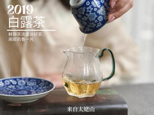 【4.5斤收藏装】5年陈的2019白露茶，又清、又稠、又鲜、又甜，又凉沁沁的 商品图6
