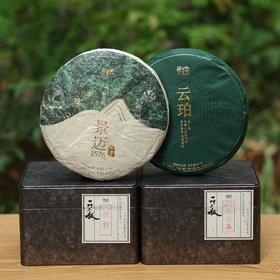 四大茶区古树茶送艺术太湖石紫陶壶（景迈1576+云珀 +倚邦+勐宋南本老寨）