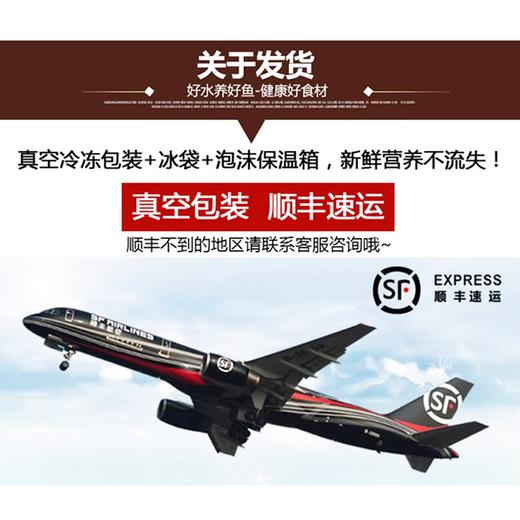 菲力牛排牛眼肉金钱腱阿根廷进口安格斯谷饲牛肉饼原切牛排 商品图12