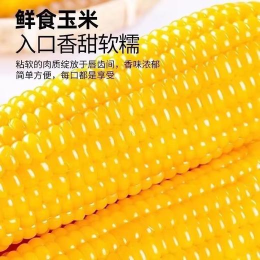 统一零售价13！B/速冻万全糯玉米1袋/4根-约1.3KG 商品图3