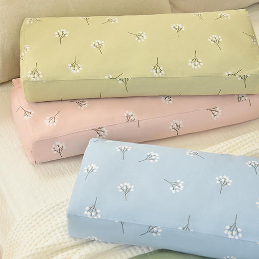 飞舞蒲公英长方枕荞麦壳枕头护颈椎荞麦皮睡眠四季 商品图2