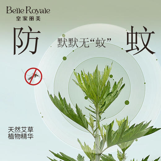 皇家丽美新款防蚊家居服睡衣女款春夏短袖短裤艾草防蚊可外穿家居服套装JJT9126 商品图4