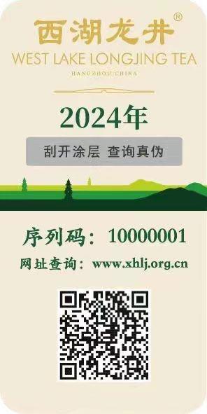 西湖龙井2024年新茶杭州翁家山特级A+（125/250克纸包装） 商品图6