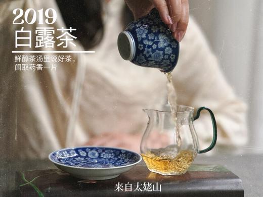 【4.5斤收藏装】5年陈的2019白露茶，又清、又稠、又鲜、又甜，又凉沁沁的 商品图8