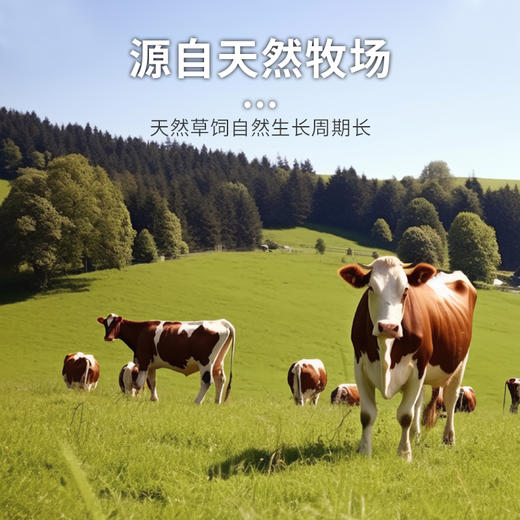 【清真】腌烤牛肉300±10g 商品图4