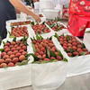空运桂花香荔枝 商品缩略图14