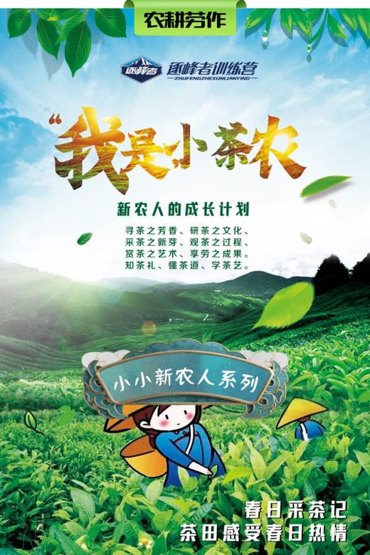 【班级研学】「我是小茶农」踏春研学“趣”采茶~小小新农人研学系列 商品图0
