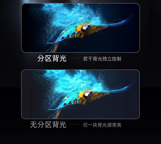 长虹98D6P MAX 98英寸120HZ高刷4K超清智慧语音超大屏幕电视机100 商品图3