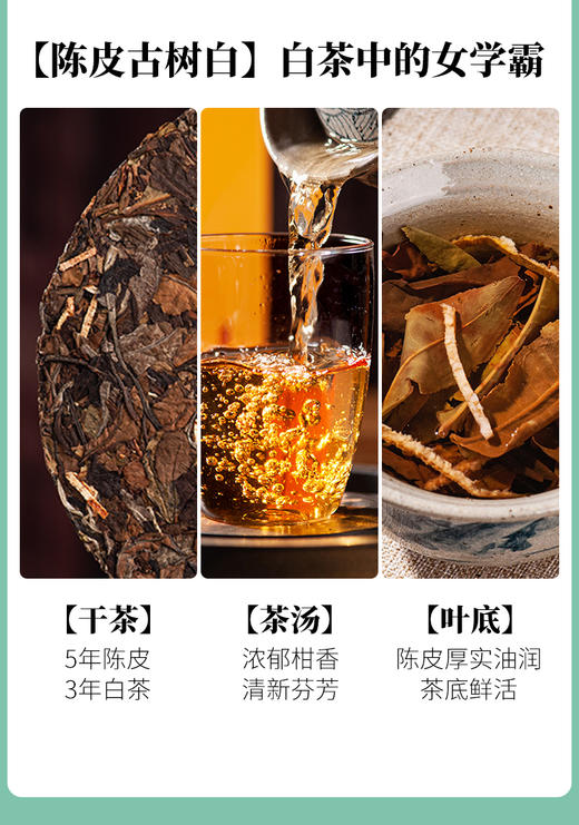 凤宁号 | 2024年 白茶集合装5g*10泡（50g） 商品图5