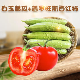山东白玉黄瓜+陕西普罗旺斯西红柿 双拼