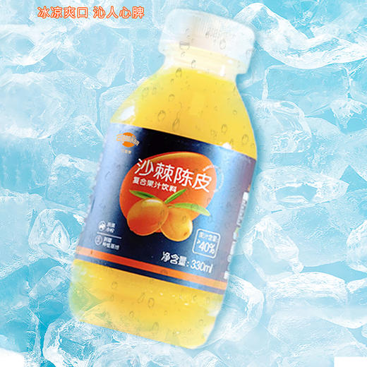 亿嘉康沙棘陈皮果汁330ml*10瓶/提 商品图1