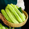 【山东黄瓜】白玉黄瓜新鲜山东旱黄瓜生吃孕妇蔬菜农当季水果青瓜 商品缩略图0