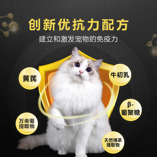 RAMICAL雷米高赛极号宠物全价猫粮无谷鸡肉冻干益消成幼猫主粮 商品图4