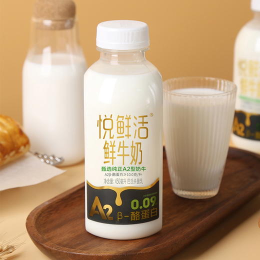 悦鲜活A2β酪蛋白鲜牛奶260ML和450ML2种选择 商品图3