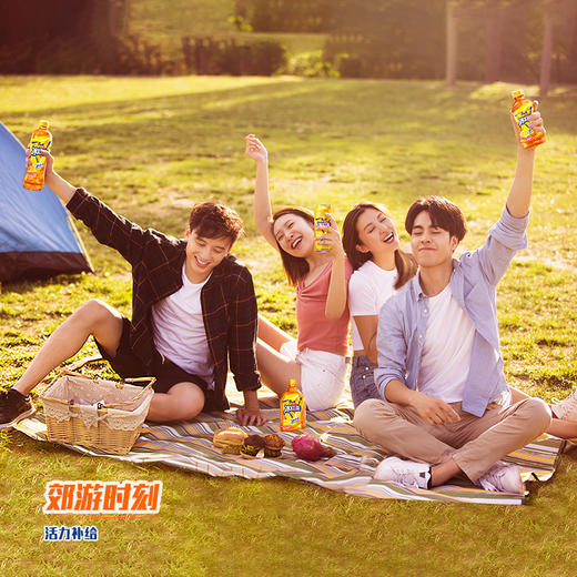 康师傅冰红茶柠檬口味茶饮料500ml冰镇饮料 商品图3