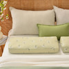 飞舞蒲公英长方枕荞麦壳枕头护颈椎荞麦皮睡眠四季 商品缩略图0