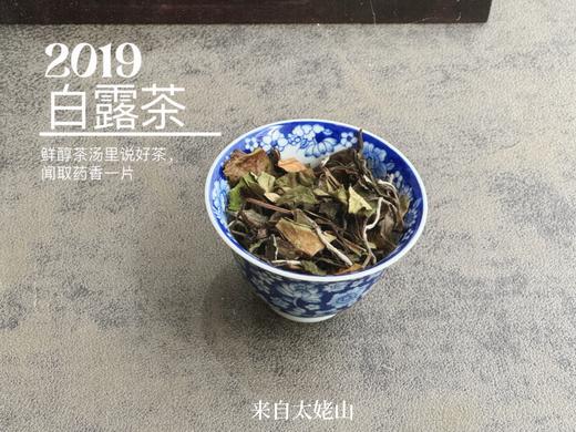 【4.5斤收藏装】5年陈的2019白露茶，又清、又稠、又鲜、又甜，又凉沁沁的 商品图2