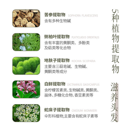 【买1送1】 芳研社 | 第三代生姜雪松洗护套洗发露260ml+护发素260ml 商品图6