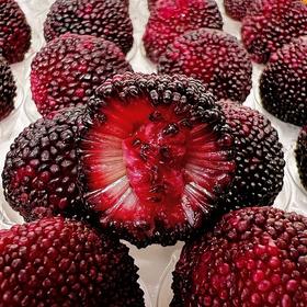 【云南好物】早春杨梅 90枚/180枚   京东/顺丰直达