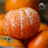 生态茂谷柑 | 合作生产 *Ecological Maogu Citrus | Coproduction 商品缩略图0