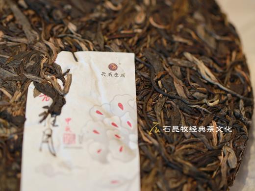 2024玉韵雅月  古树生茶 月华洗练明玉珠   石昆牧老师定制 商品图1