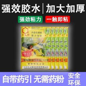 达豪强力粘蝇胶贴 粘蝇纸 粘蝇板 10片包 蚊虫灭苍蝇药胶灭蝇纸板捕蝇器