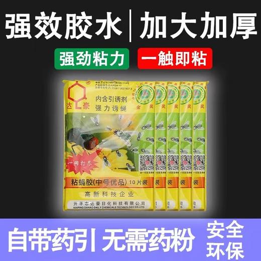 达豪强力粘蝇胶贴 粘蝇纸 粘蝇板 10片包 蚊虫灭苍蝇药胶灭蝇纸板捕蝇器 商品图0
