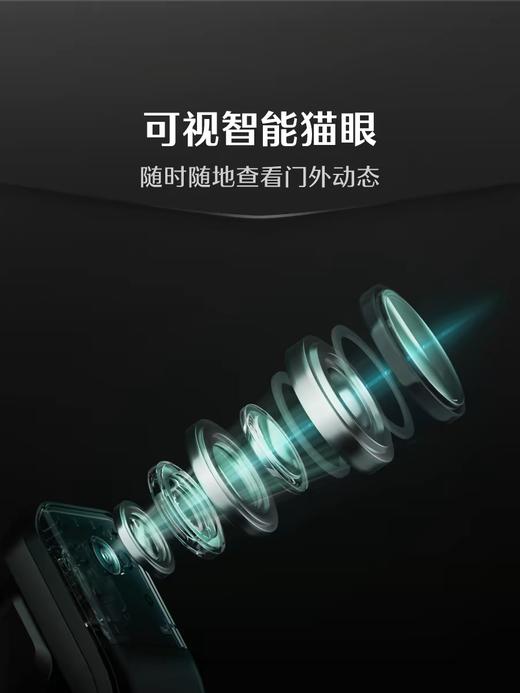 LR【德施曼Q3MV Pro指纹锁密码锁掌静脉猫眼大屏智能锁】DSM 商品图4