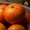 生态茂谷柑 | 合作生产 *Ecological Maogu Citrus | Coproduction 商品缩略图3