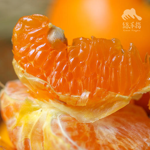 生态茂谷柑 | 合作生产 *Ecological Maogu Citrus | Coproduction 商品图2