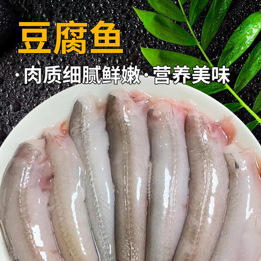 【野生海产】豆腐鱼880±20g 渤海海域 商品图5