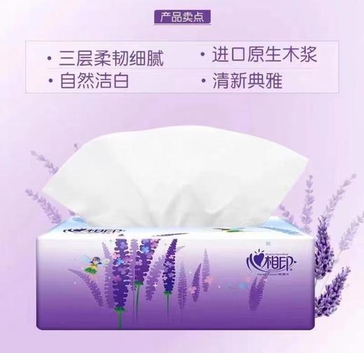 300张*6包/提【加量超值】心相印经典薰衣草抽纸3层*100抽/包 商品图2