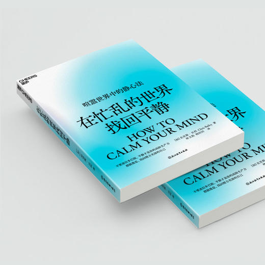 在忙乱的世界找回平静 摆脱倦怠，找回精力充沛的自己 商品图1