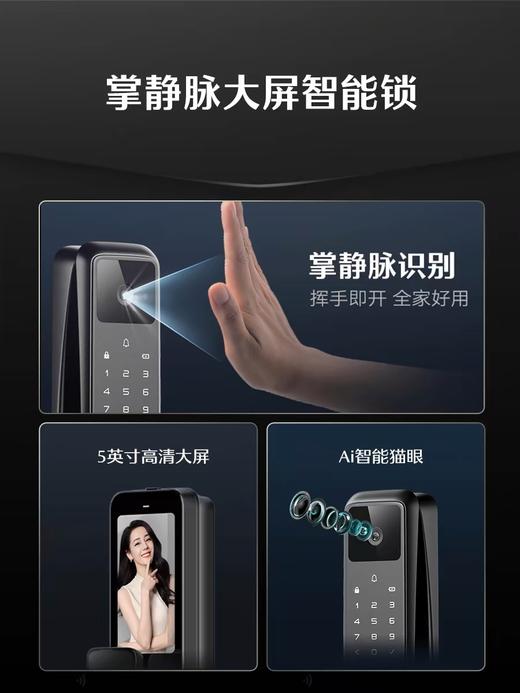 LR【德施曼Q50MV Pro家用智能门锁可视猫眼掌静脉智能锁】DSM 商品图1