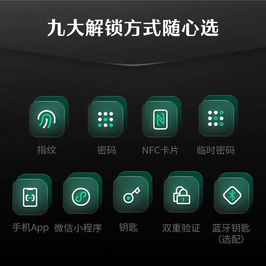 LR【德施曼Q3MPro指纹锁家用防盗密码锁全自动带屏幕可视猫眼】DSM 商品图1