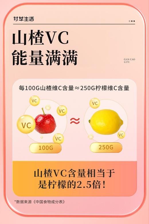 六物山楂条250g 开味解腻老少皆宜 商品图3