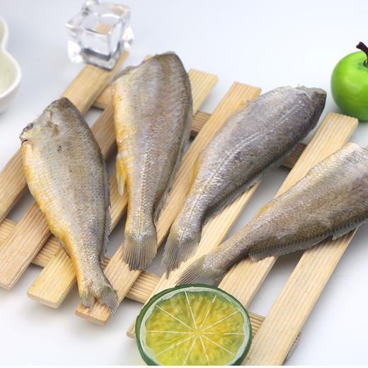 去头黄花鱼1300±10g 商品图2