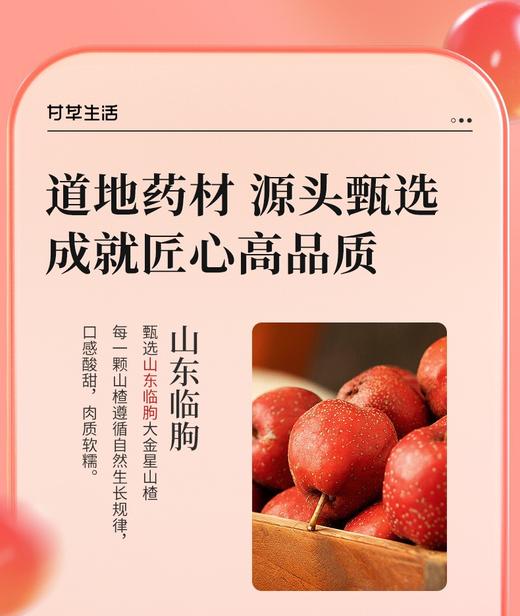 六物山楂条250g 开味解腻老少皆宜 商品图4