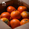生态茂谷柑 | 合作生产 *Ecological Maogu Citrus | Coproduction 商品缩略图5