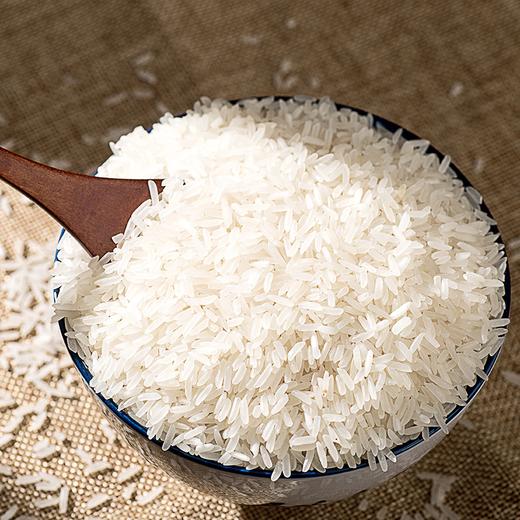 散装玉针香米（3.99元1斤，5斤/份） 商品图0
