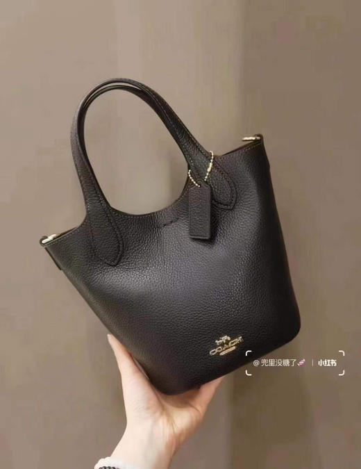 美国直邮¥1599🇺🇸Coach🆕hanna菜篮子 爱马仕既视感 商品图1