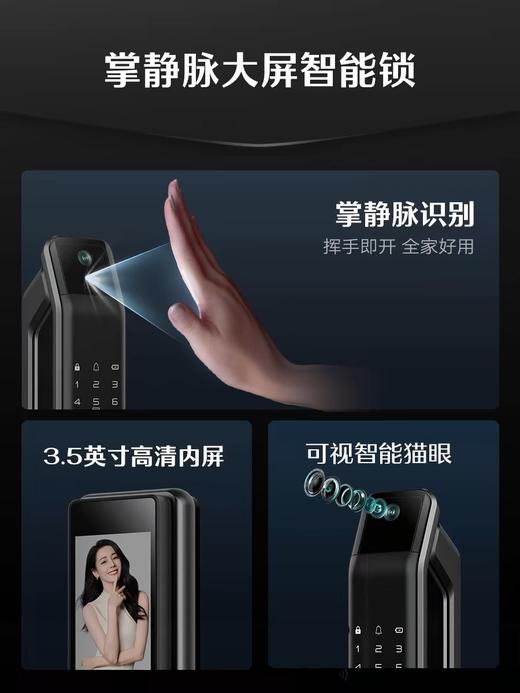 LR【德施曼Q3MV Pro指纹锁密码锁掌静脉猫眼大屏智能锁】DSM 商品图2