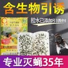 达豪强力粘蝇胶贴 粘蝇纸 粘蝇板 10片包 蚊虫灭苍蝇药胶灭蝇纸板捕蝇器 商品缩略图1