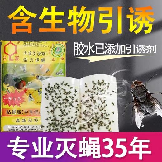 达豪强力粘蝇胶贴 粘蝇纸 粘蝇板 10片包 蚊虫灭苍蝇药胶灭蝇纸板捕蝇器 商品图1