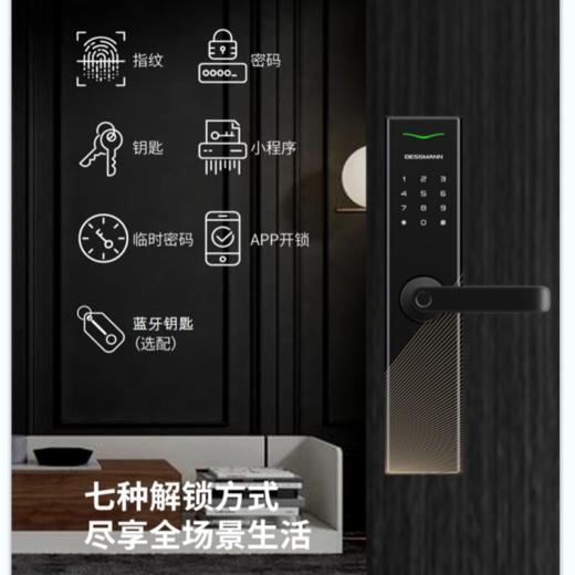 LR【德施曼E10plus指纹锁智能锁电子密码锁防盗锁一握开高端黑 】DSM 商品图1
