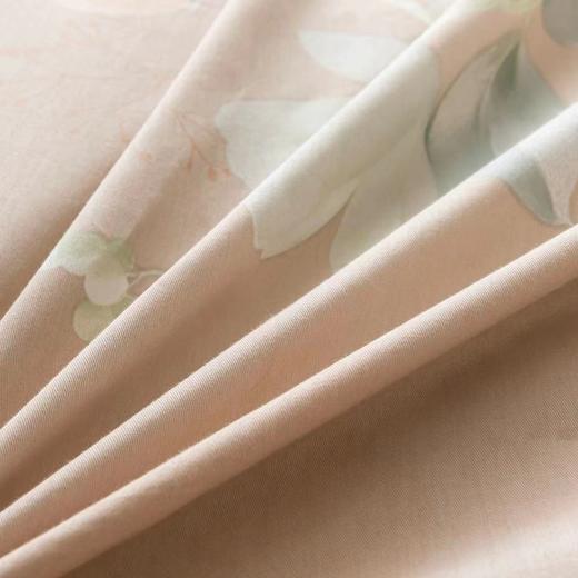 【恐龙厅】B7F丨  恐龙全棉四件套-玉莹/粉 商品图2