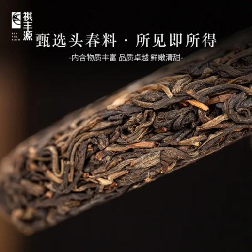 生普 | 祺丰源 2019古木金韵-昔归100g/饼 商品图2