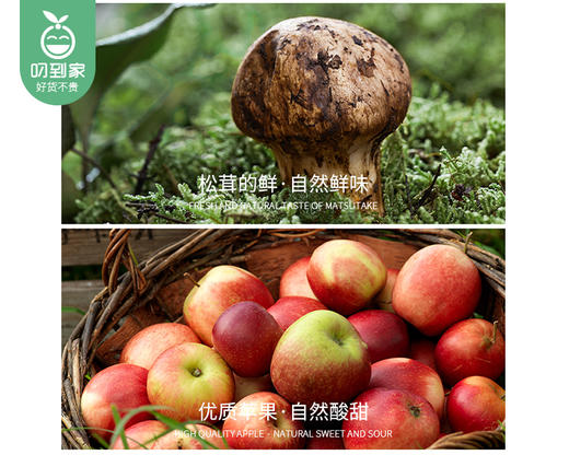 松鲜鲜松茸油醋汁（280g/瓶）生产日期: 4月 商品图3